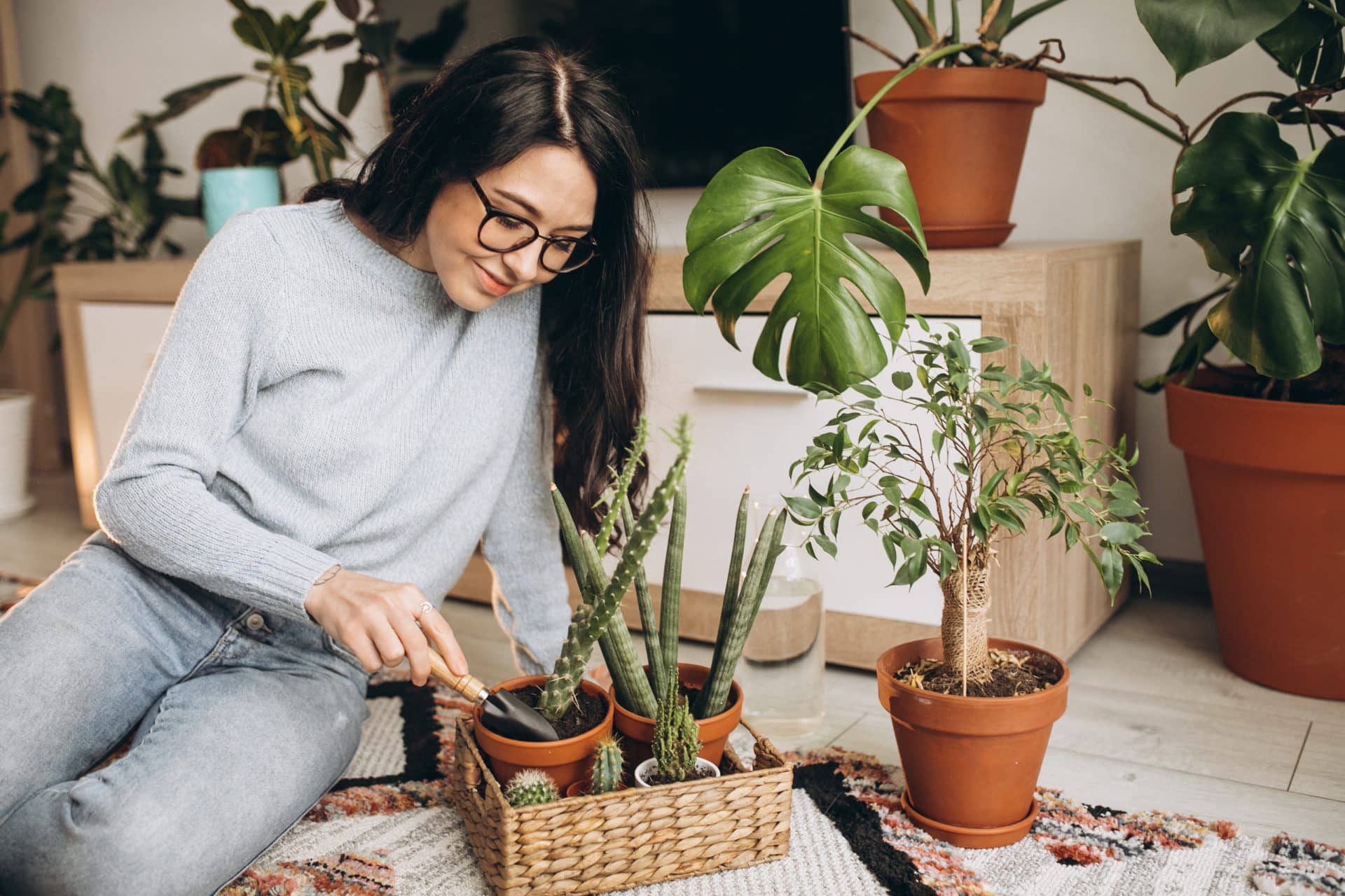 A imagem mostra uma mulher sentada no chão de uma sala bem iluminada, cuidando de suas plantas com uma pequena pá de jardinagem. Ela usa óculos, uma blusa de tricô cinza claro e calça jeans, demonstrando tranquilidade e prazer na atividade. À sua frente, há um cesto de vime com pequenos vasos de cactos e suculentas, além de outros vasos maiores ao redor com plantas como a costela-de-adão e um pequeno bonsai.