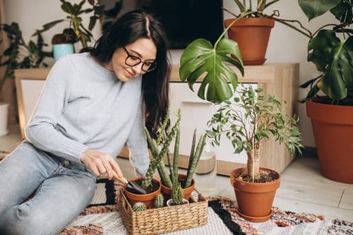 A imagem mostra uma mulher sentada no chão de uma sala bem iluminada, cuidando de suas plantas com uma pequena pá de jardinagem. Ela usa óculos, uma blusa de tricô cinza claro e calça jeans, demonstrando tranquilidade e prazer na atividade. À sua frente, há um cesto de vime com pequenos vasos de cactos e suculentas, além de outros vasos maiores ao redor com plantas como a costela-de-adão e um pequeno bonsai.
