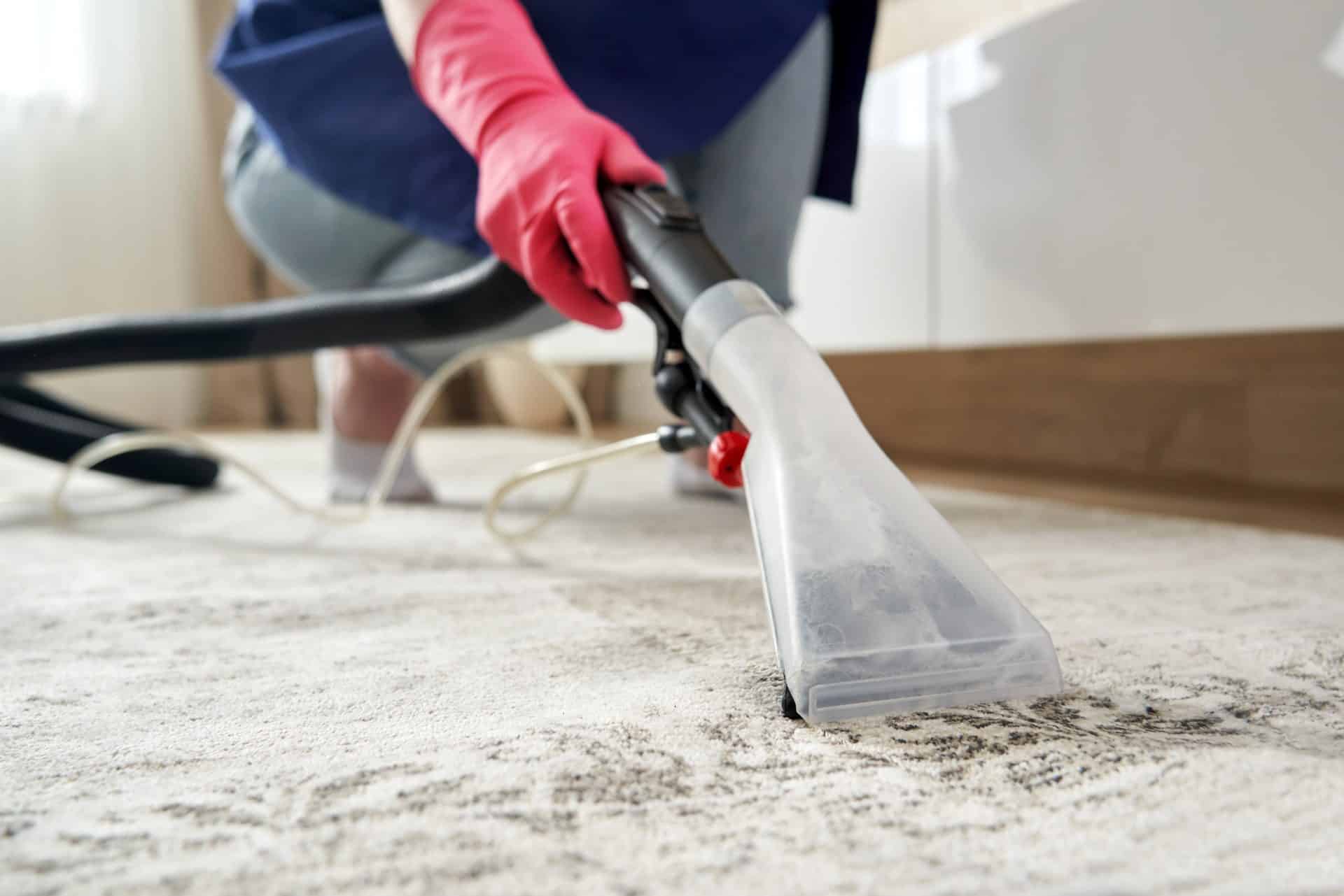 A imagem mostra uma pessoa realizando a limpeza profunda de um tapete claro com o auxílio de um extrator de líquidos, equipamento específico para higienização de estofados e carpetes. A pessoa usa luvas de borracha rosa para proteção e está agachada, pressionando o bico do aparelho contra o tecido.