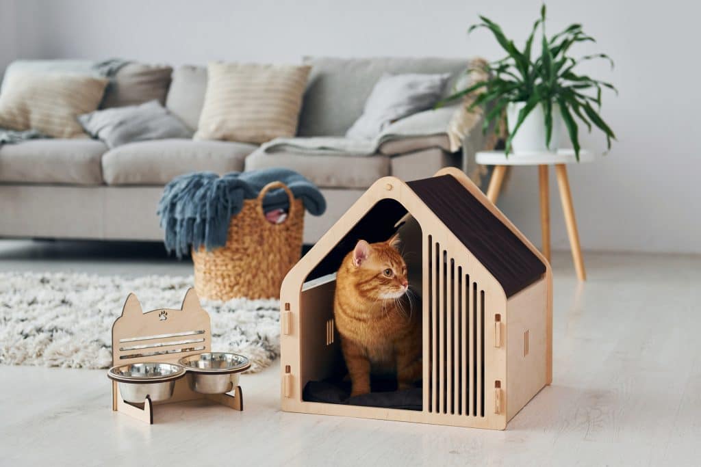 Gato ruivo dentro de uma casinha de madeira em formato de chalé, ao lado de comedouro duplo, em sala com sofá, tapete felpudo e planta decorativa.